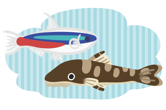 魚のイラスト